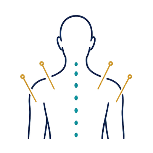 Acupuntura Humana